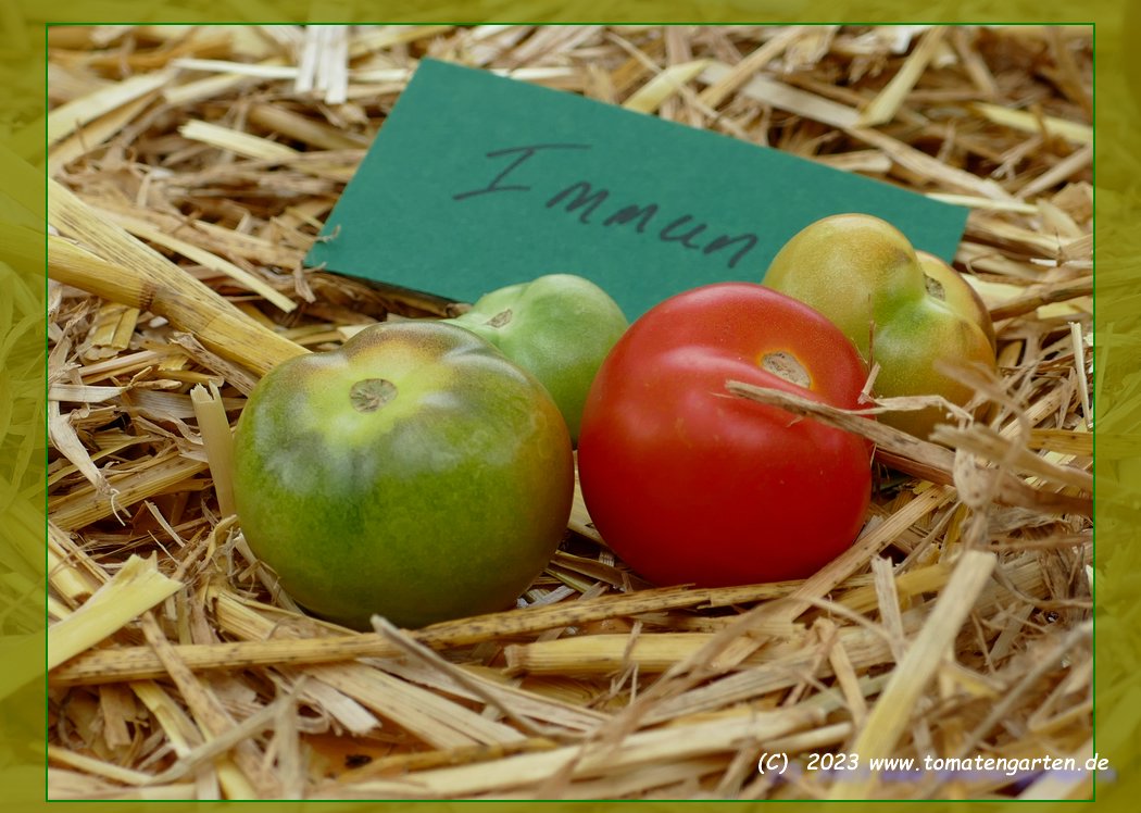 grüne Frucht