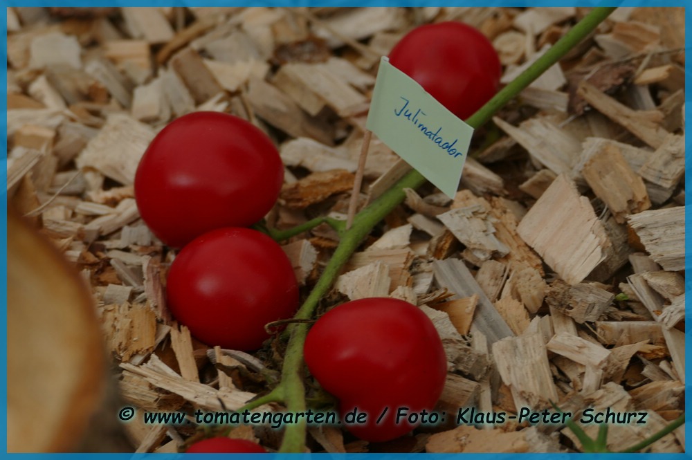 Frucht