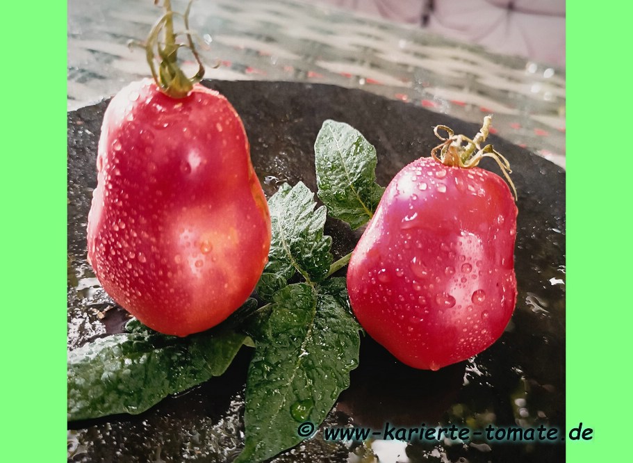 Frucht