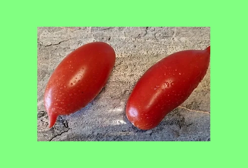 Frucht