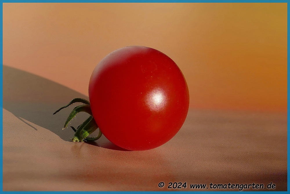 Frucht