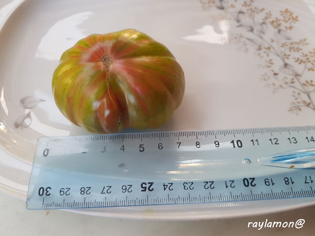 Frucht