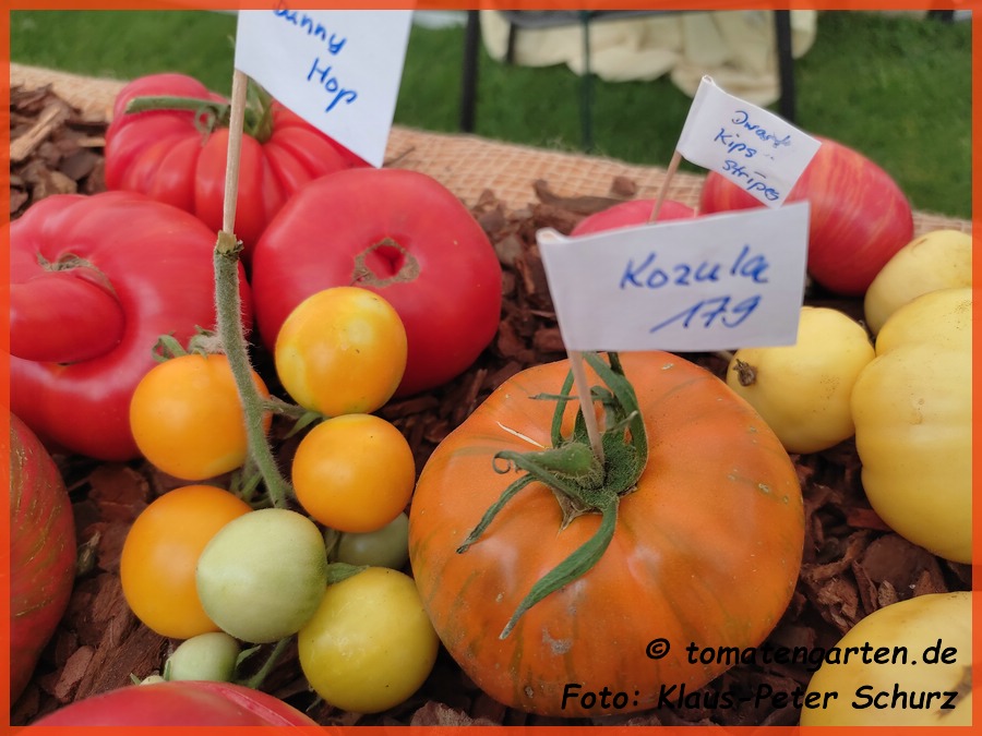 Frucht