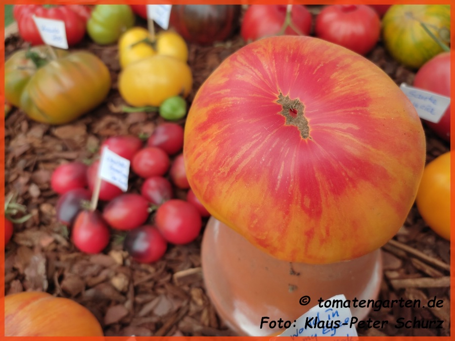 Frucht