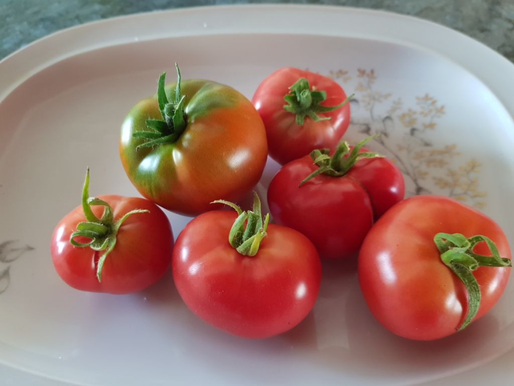 Frucht