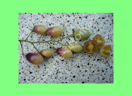 geschnittene Frucht