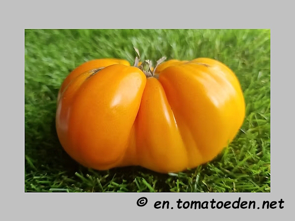 Frucht