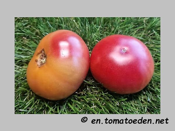 Frucht