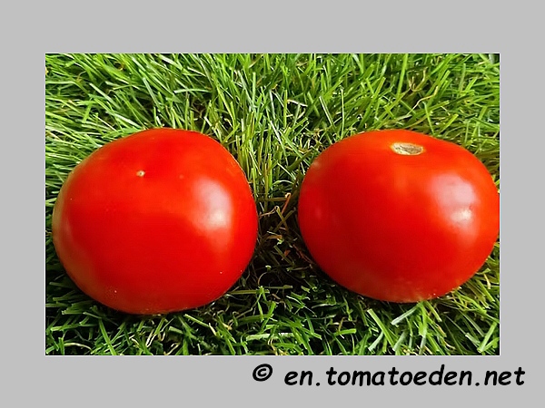 Frucht