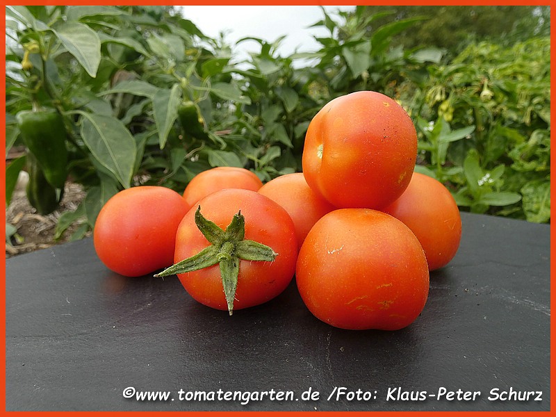 Frucht