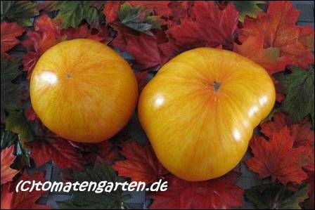 Frucht