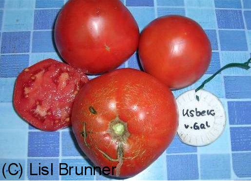 geschnittene Frucht