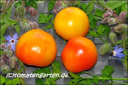 Frucht