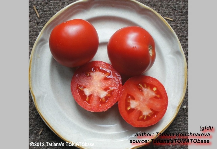 geschnittene Frucht