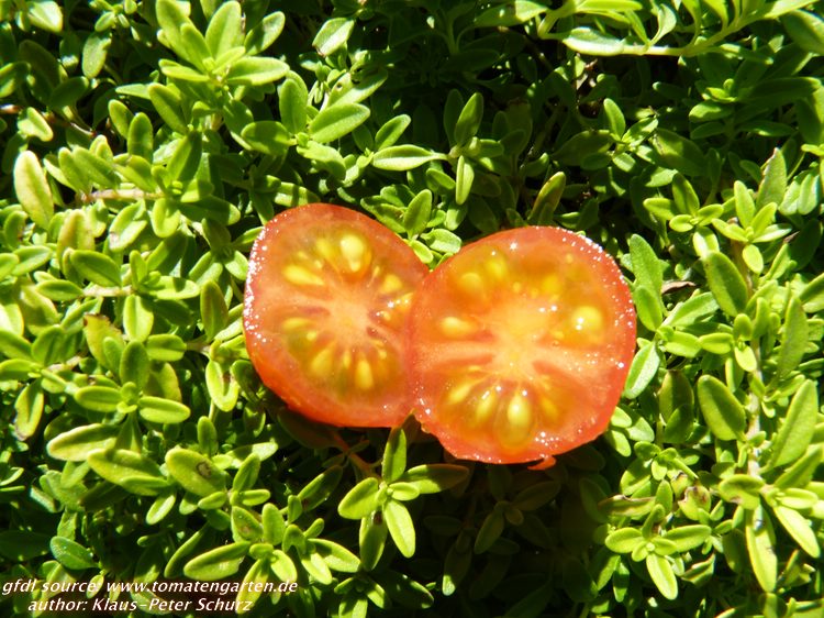 geschnittene Frucht