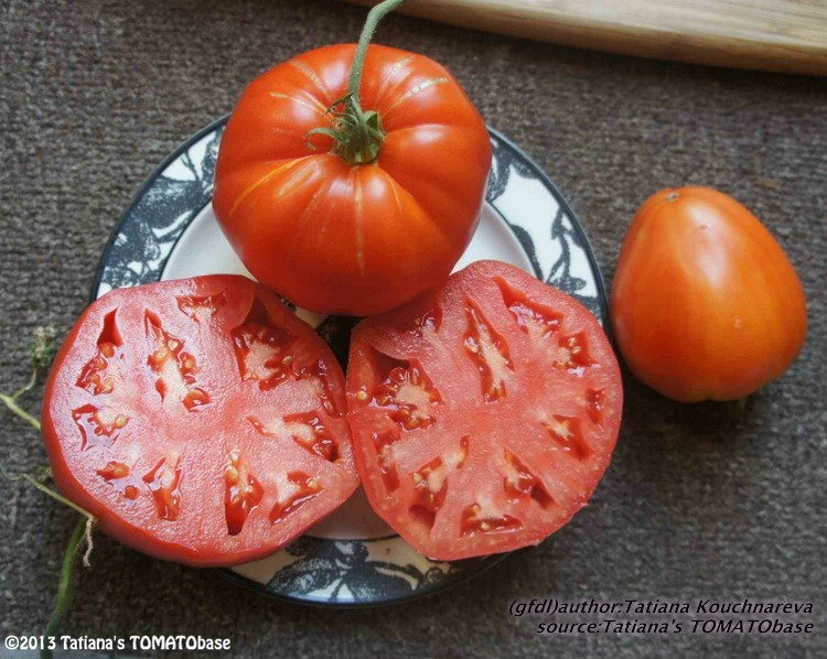 geschnittene Frucht