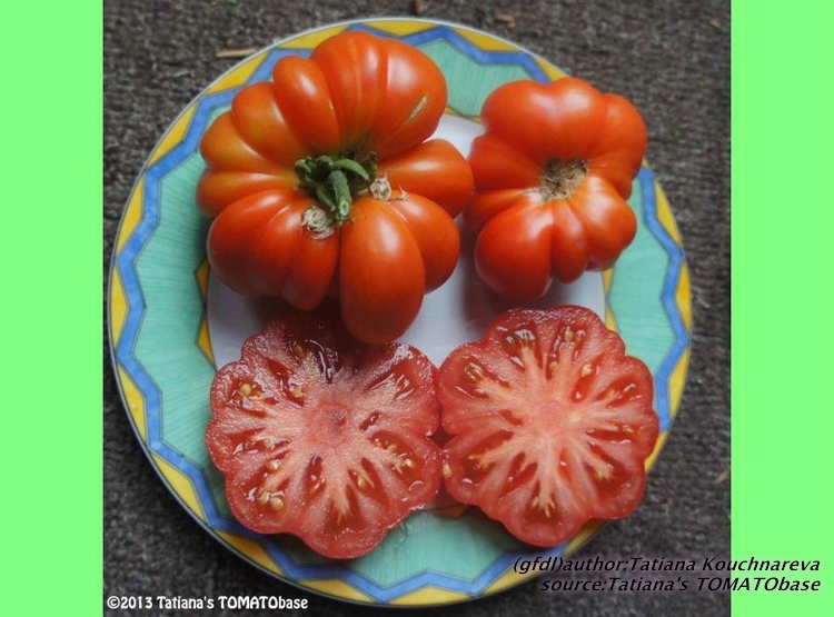 geschnittene Frucht