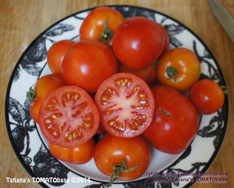 geschnittene Frucht