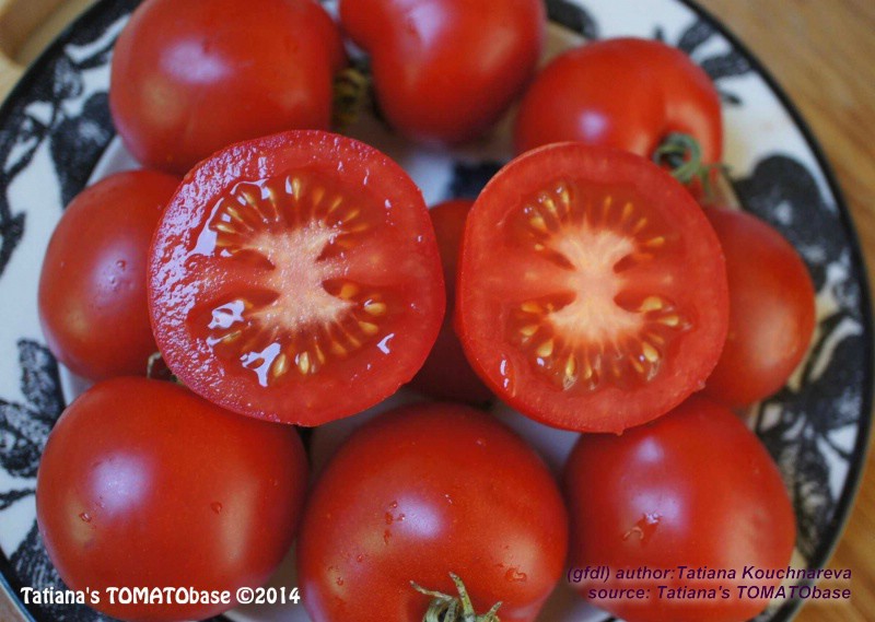 geschnittene Frucht