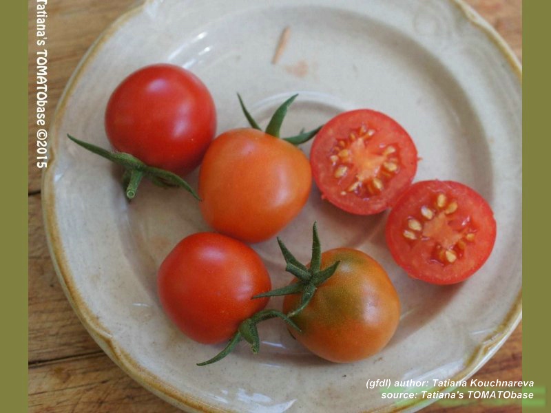 geschnittene Frucht