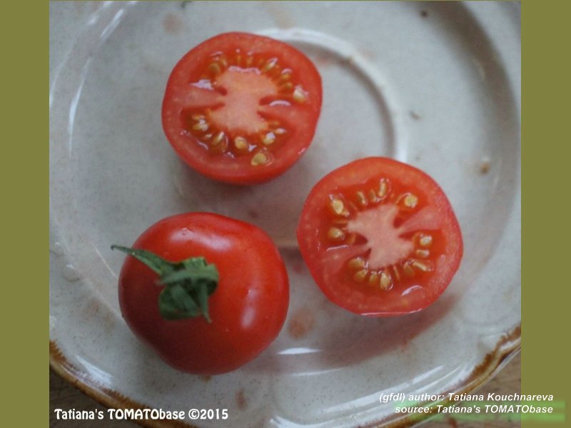 geschnittene Frucht