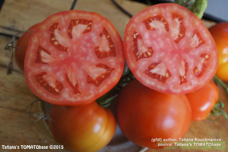 geschnittene Frucht