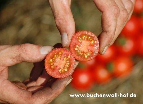 geschnittene Frucht