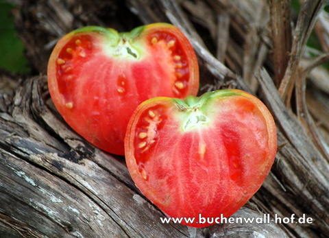 geschnittene Frucht