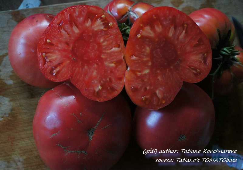 geschnittene Frucht