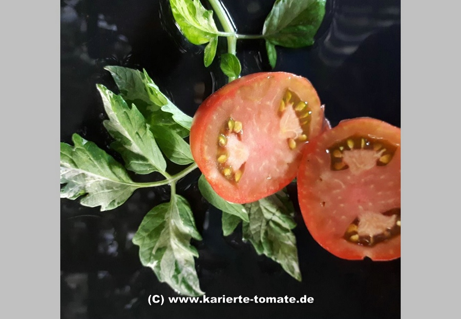 geschnittene Frucht