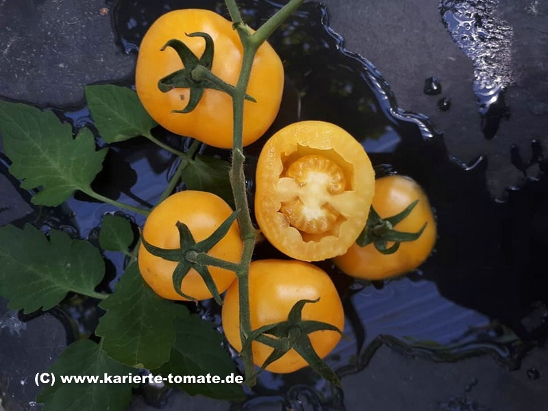 geschnittene Frucht