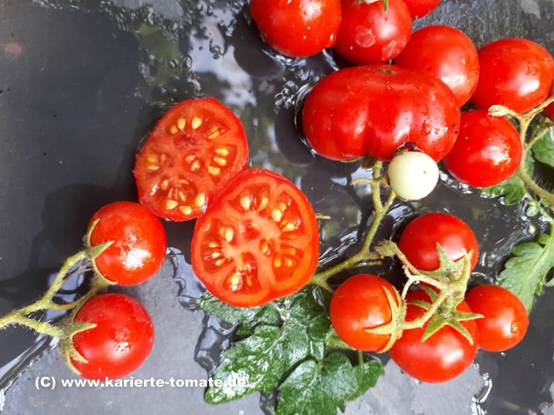 geschnittene Frucht