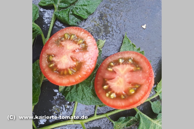 geschnittene Frucht