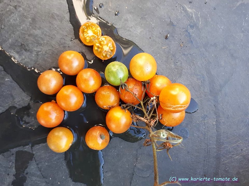 geschnittene Frucht