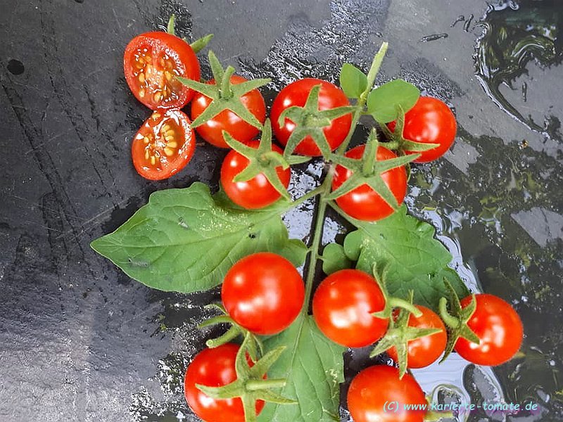 geschnittene Frucht