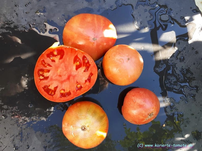 geschnittene Frucht