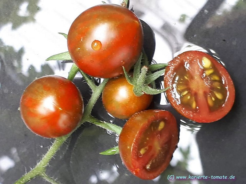 geschnittene Frucht