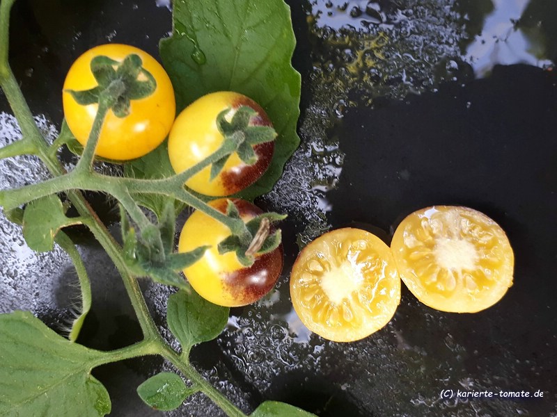 geschnittene Frucht