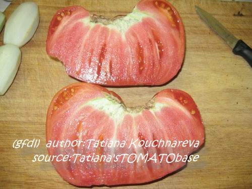 geschnittene Frucht