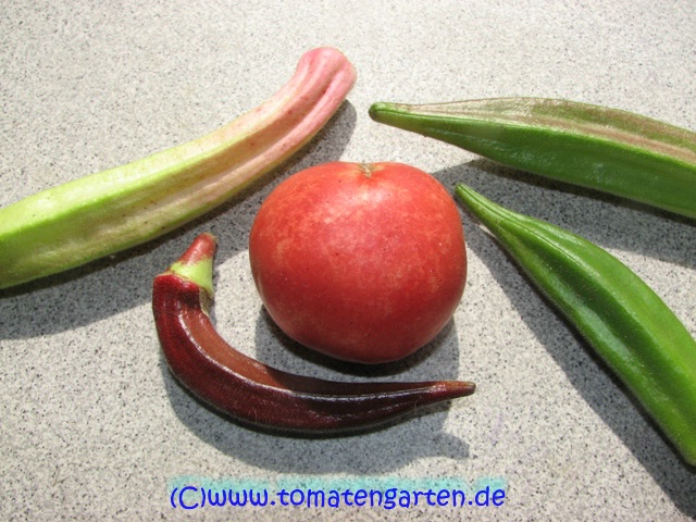 Frucht