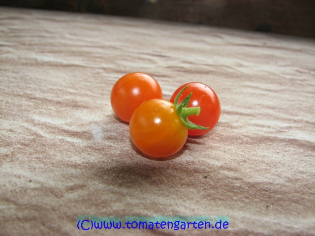 Frucht